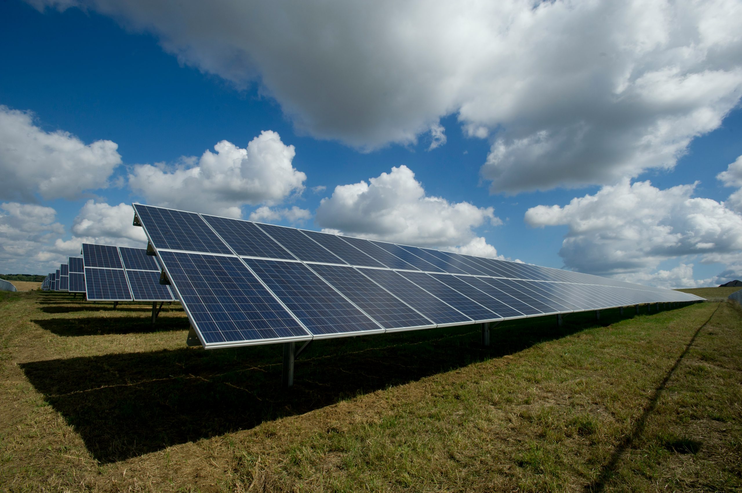 Research on waste to power industry in Vietnam